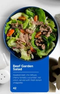Beef Garden Salad